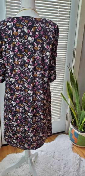 Cece - Picture 3 of 7